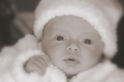 Audrey - Photo by Jody Nash